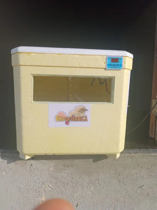 Ótima chocadeira CHOCKTÉRMICA!