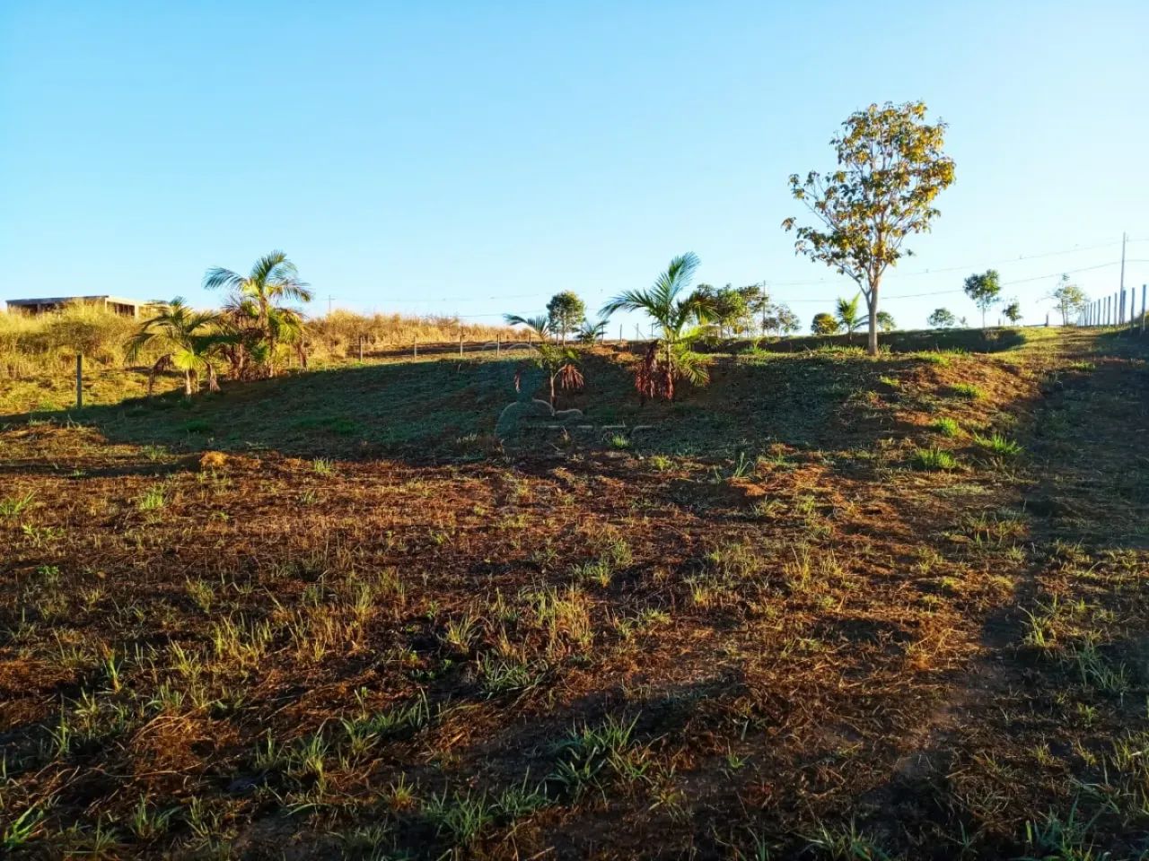 Terreno Área em Delfinópolis - Foto 4