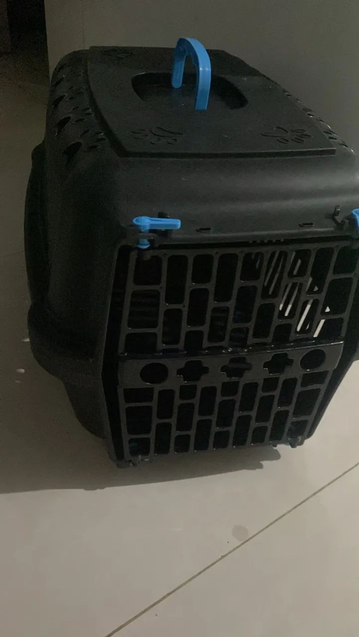 Caixa para gato 