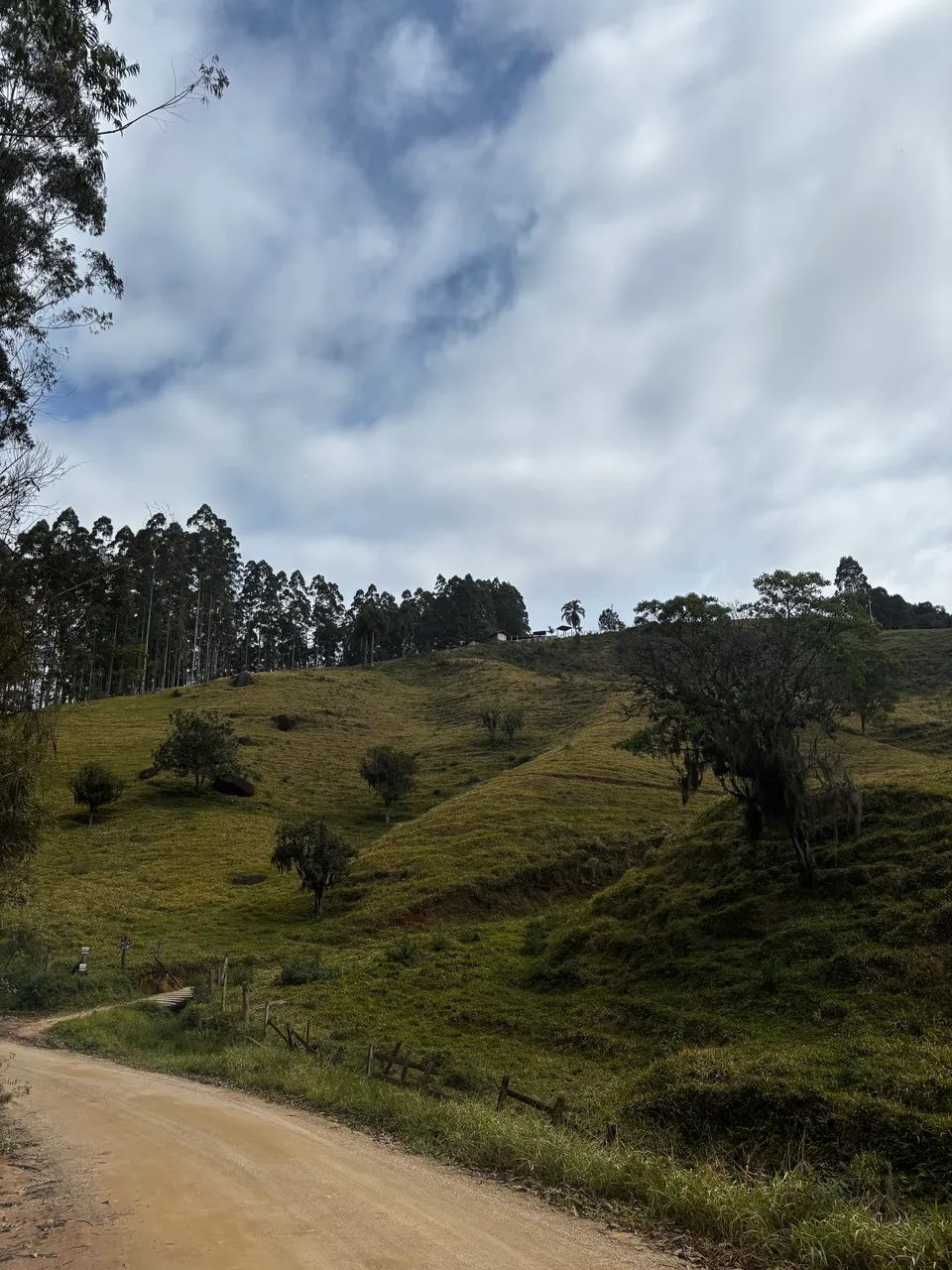Linda Área em Anitapolis  - Foto 4