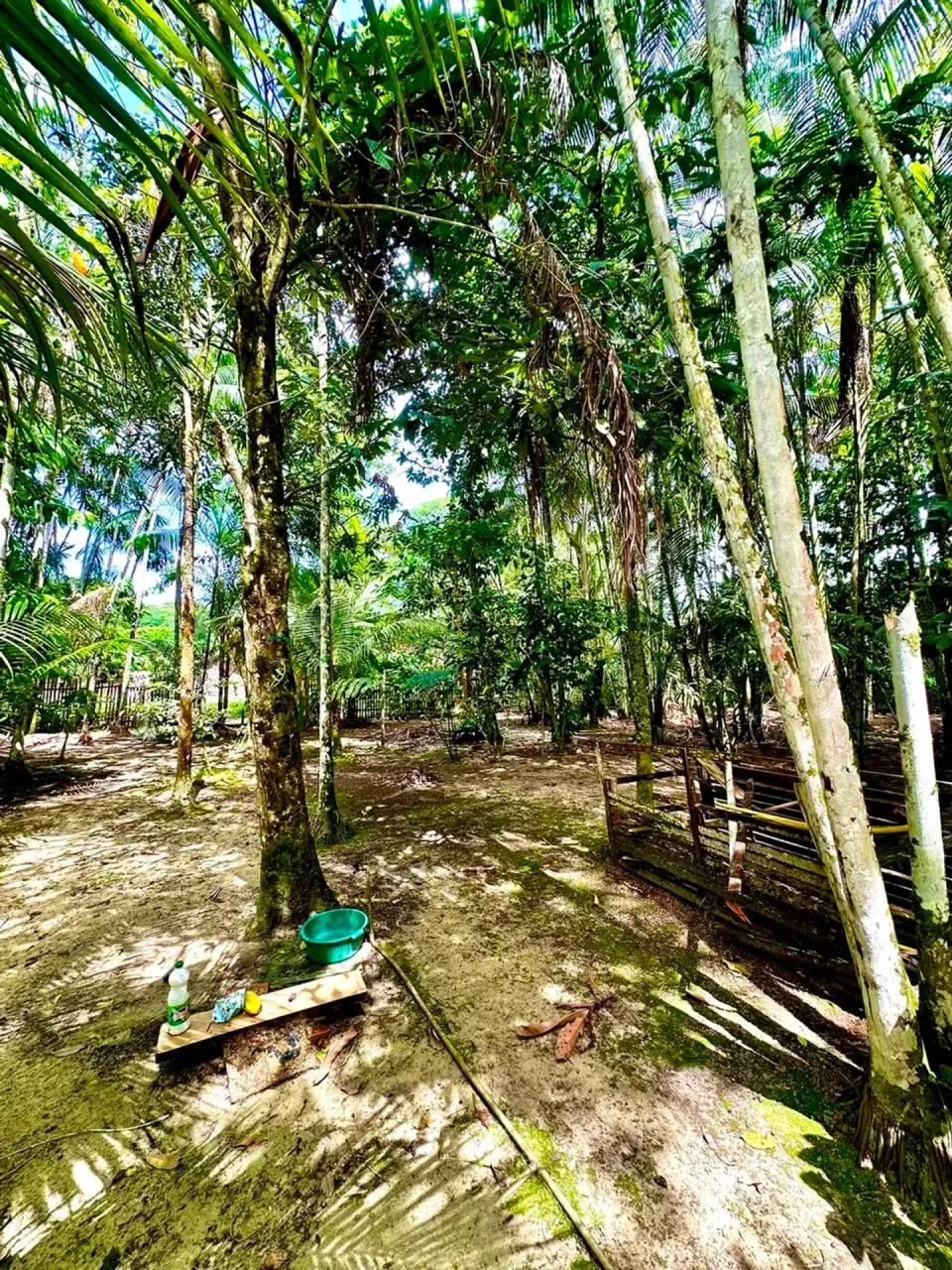 SÍTIO DE 2.500M² COM CASA DE 3 SUÍTES NO CORAÇÃO DE SANTA BÁRBARA - Foto 3