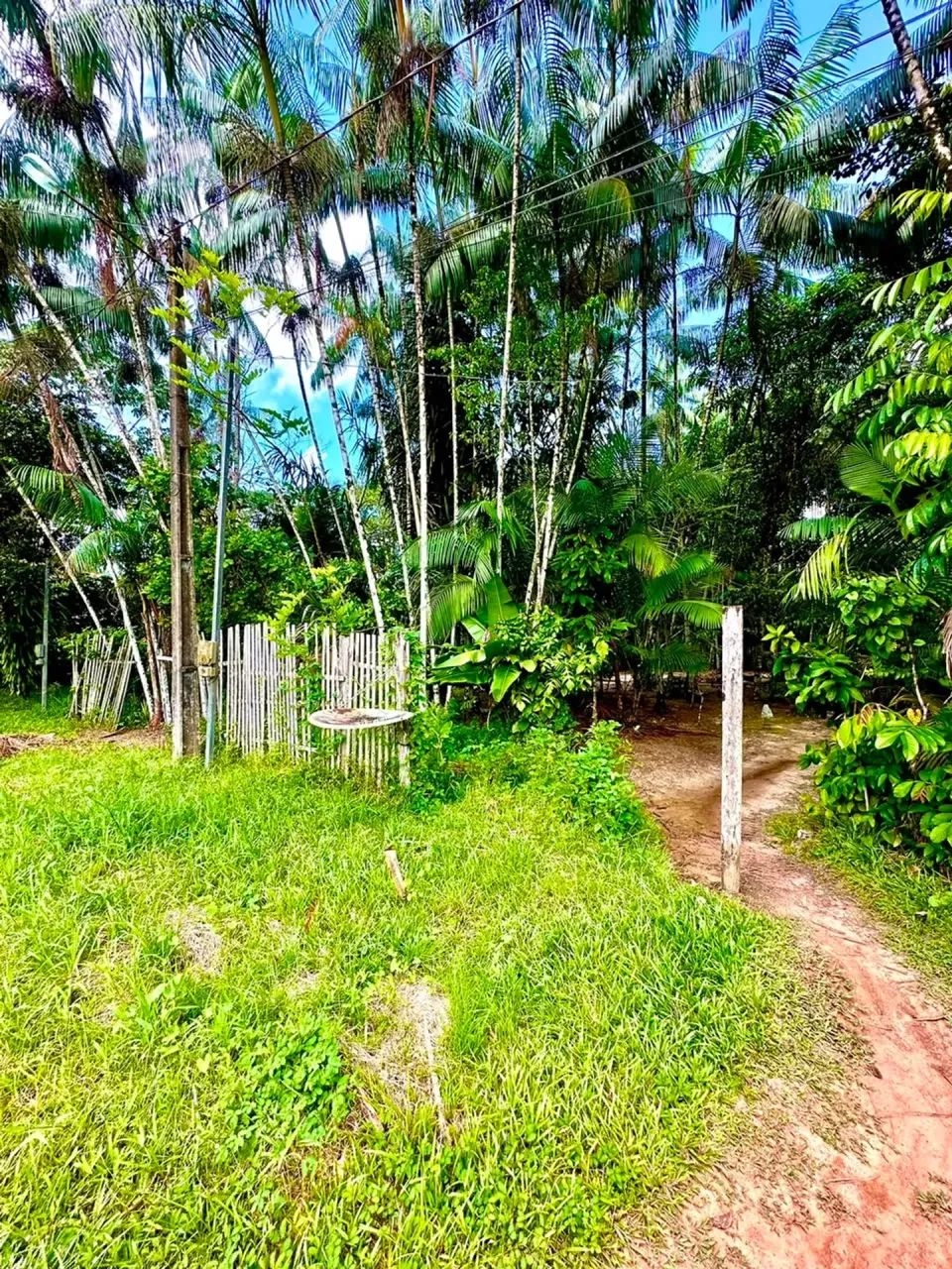 SÍTIO DE 2.500M² COM CASA DE 3 SUÍTES NO CORAÇÃO DE SANTA BÁRBARA - Foto 5