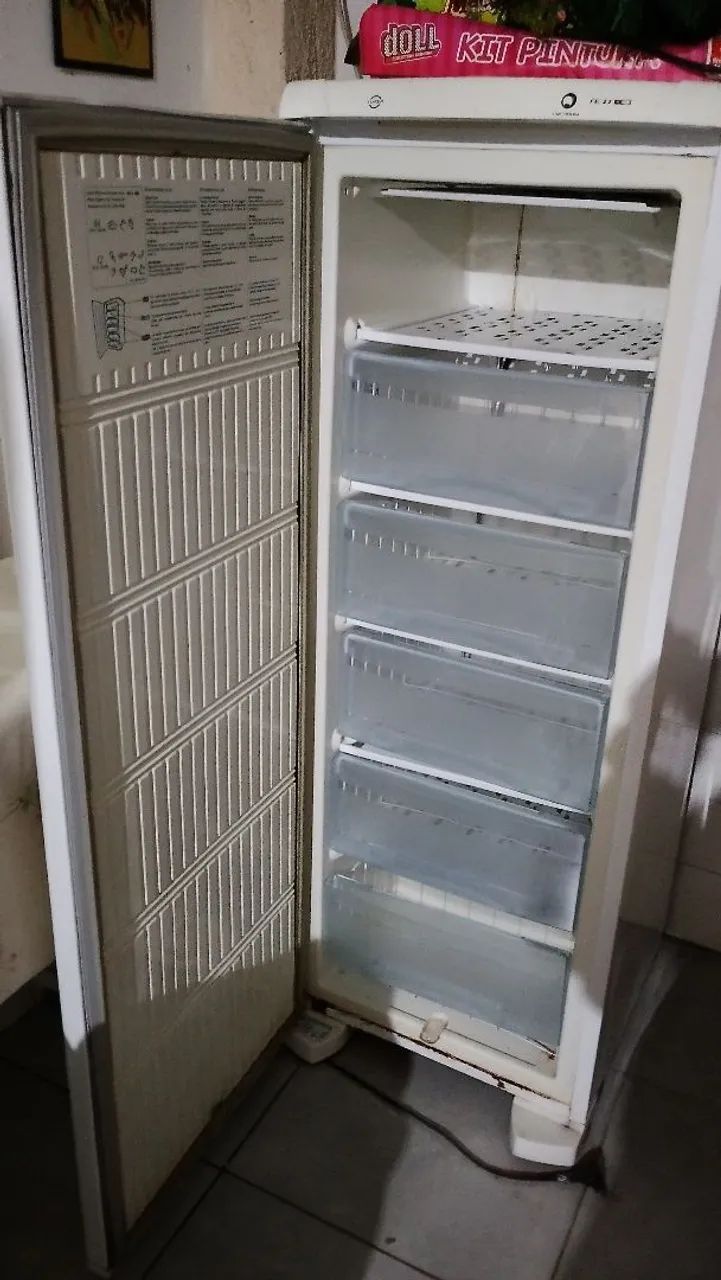 Freezer FE22 Eletrolux  - Foto 4