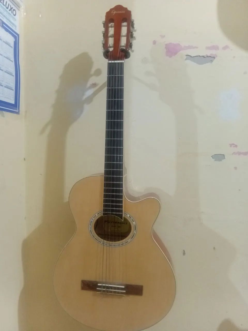 Violãp gianine eletrico semi novo