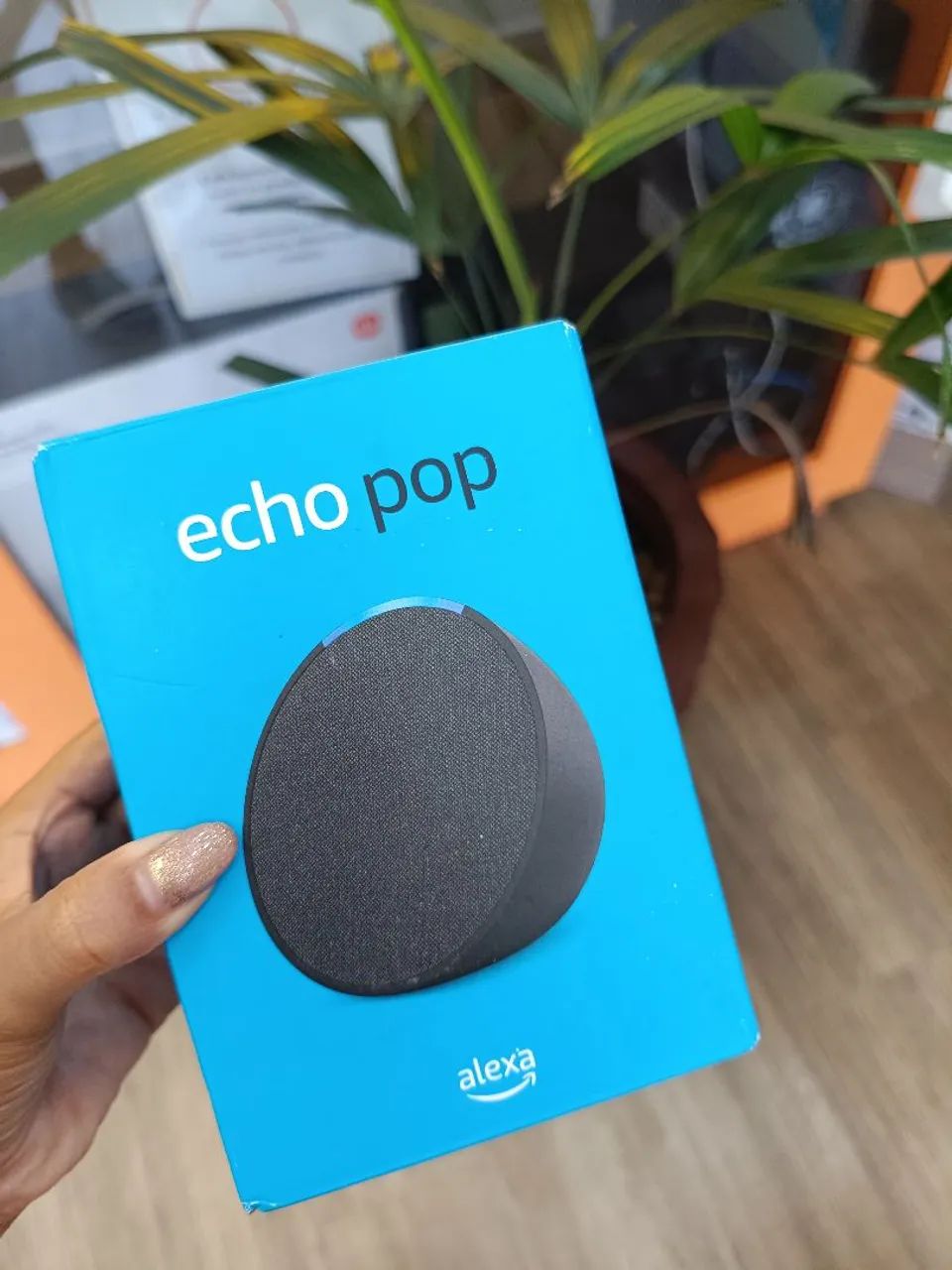 Alexa Echo Pop 