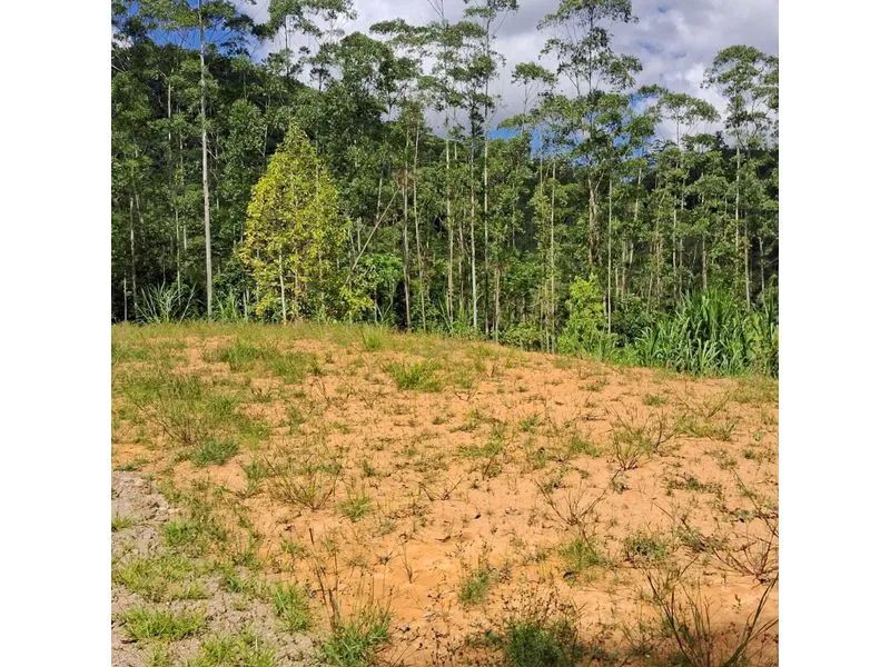Lote rural BENEDITO NOVO - SC - Foto 3