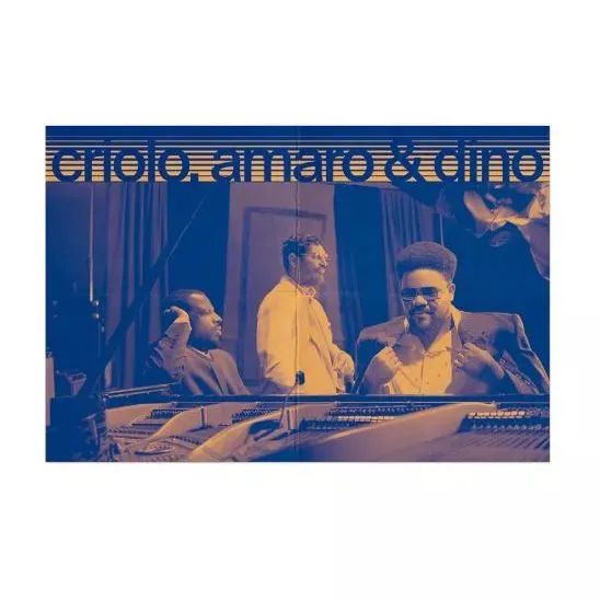 LP DISCO DE VINIL - CRIOLO, AMARO E DINO - Foto 2