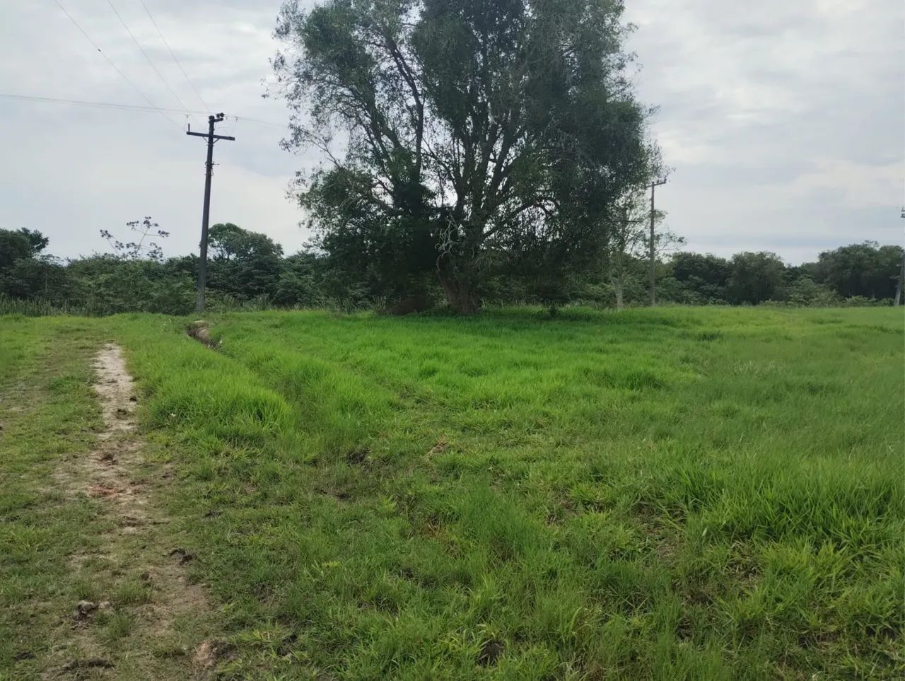 Vendo ou troco terreno  - Foto 2