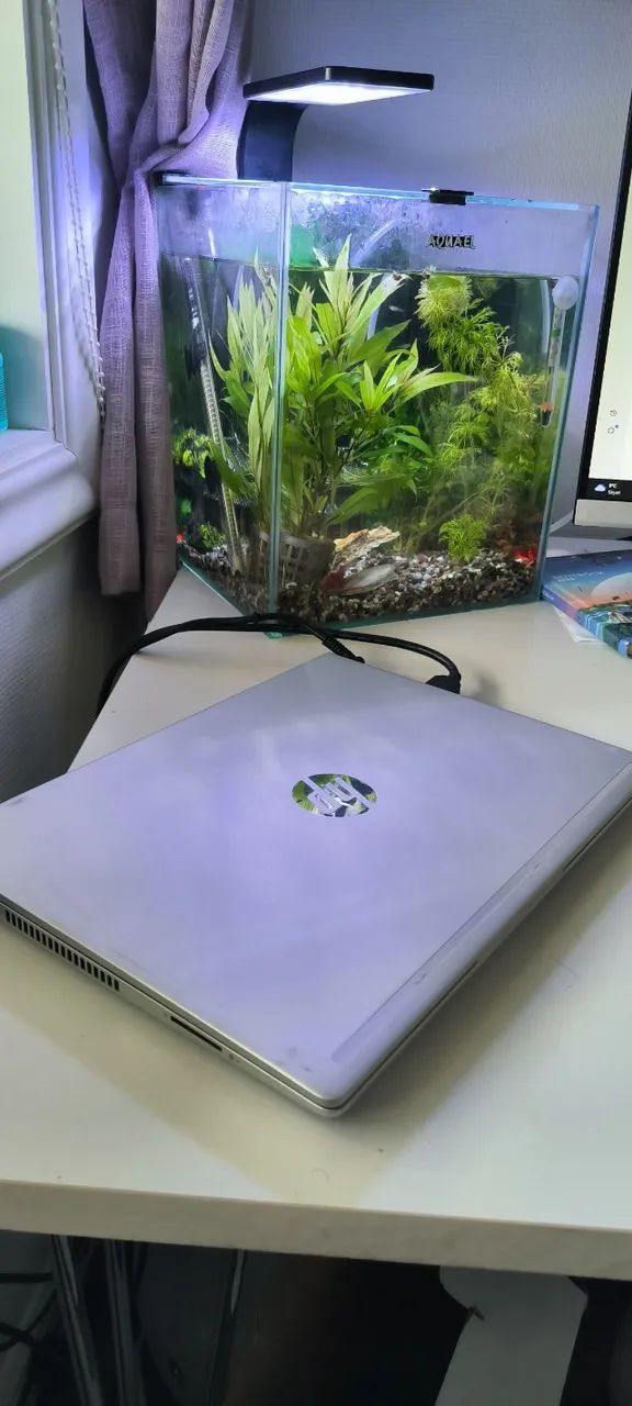 Notebook HP ProBook 430 G6 | Core i3 (8ª Ger) | 20GB RAM | SSD