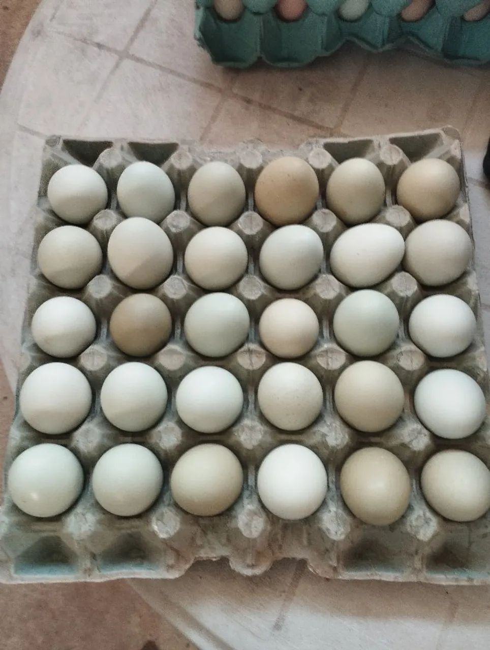 Ovos ferteis de galinha caipira,  - Foto 2