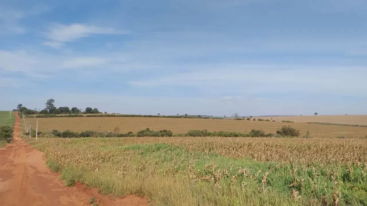 Sítio a venda no PR. NOROESTE. - Foto 2