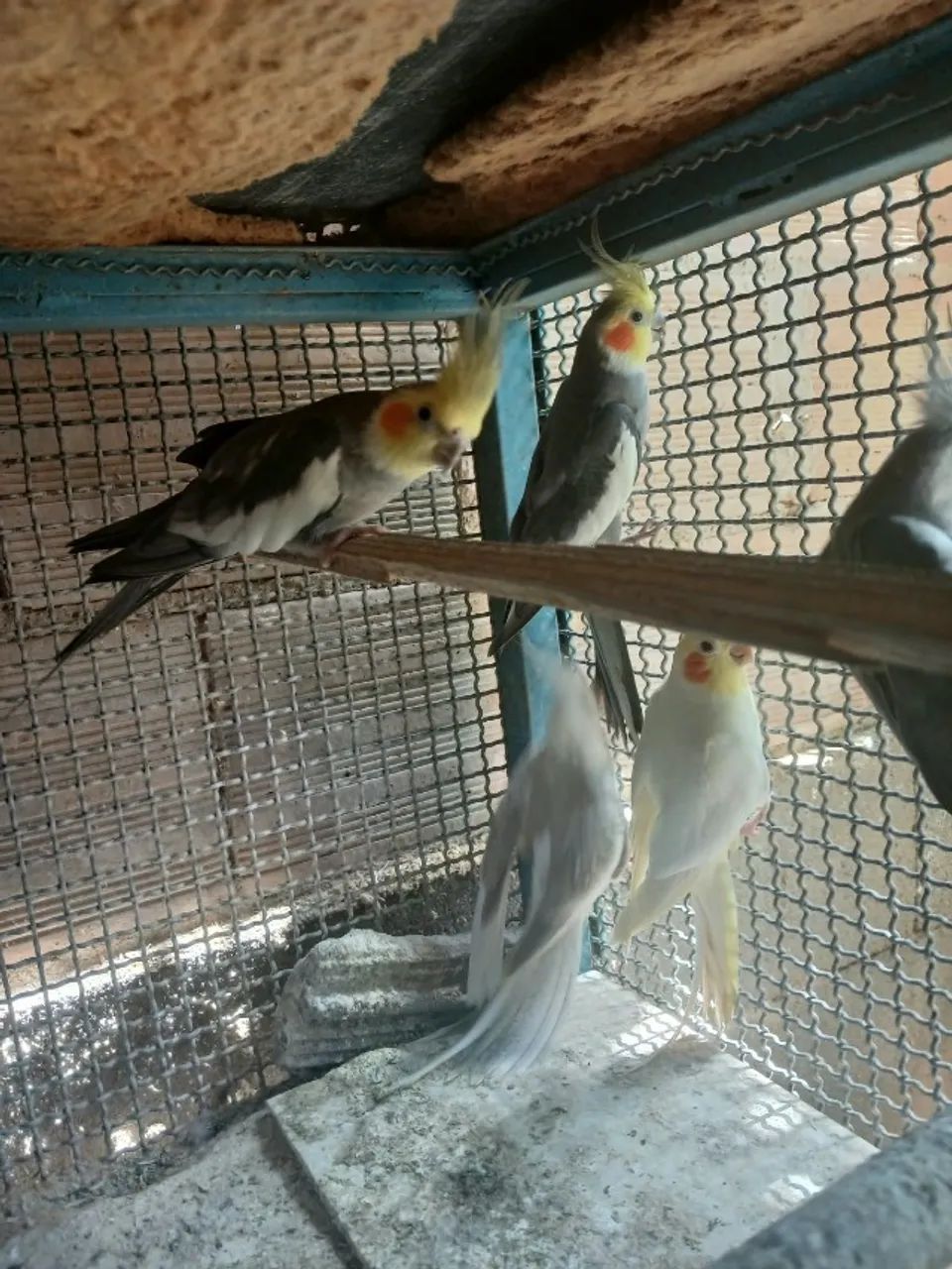 vendo - Foto 3