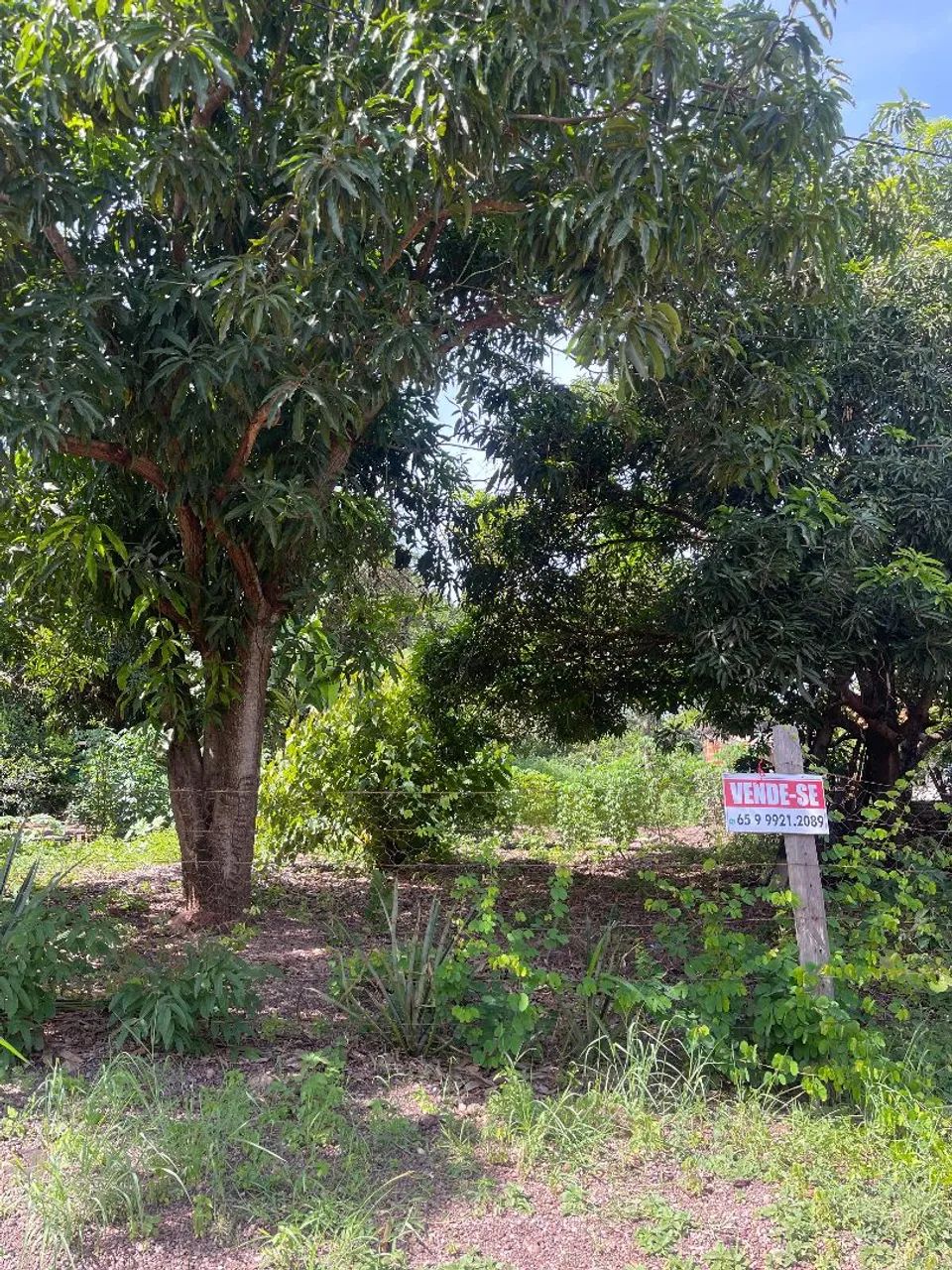 terreno nova esperança  - Foto 4