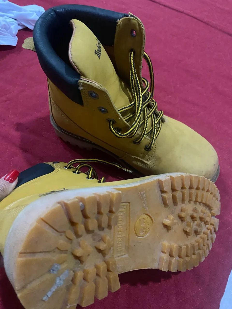 Bota
