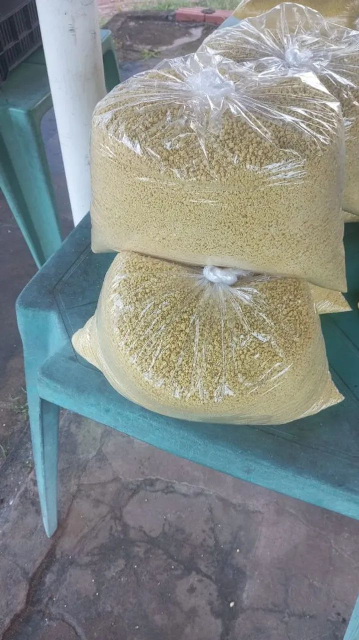 Farinha regi ão de Bragança  - Foto 2