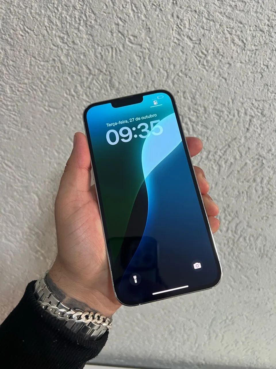 iPhone 13 Pro Max(todo original)