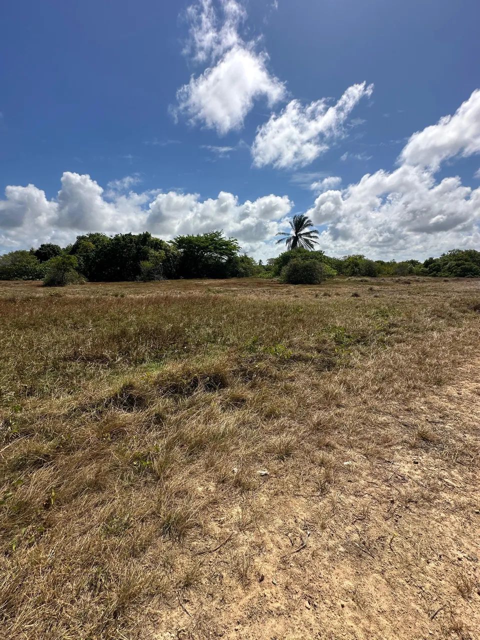 Foto - João Pessoa - Tambauzinho