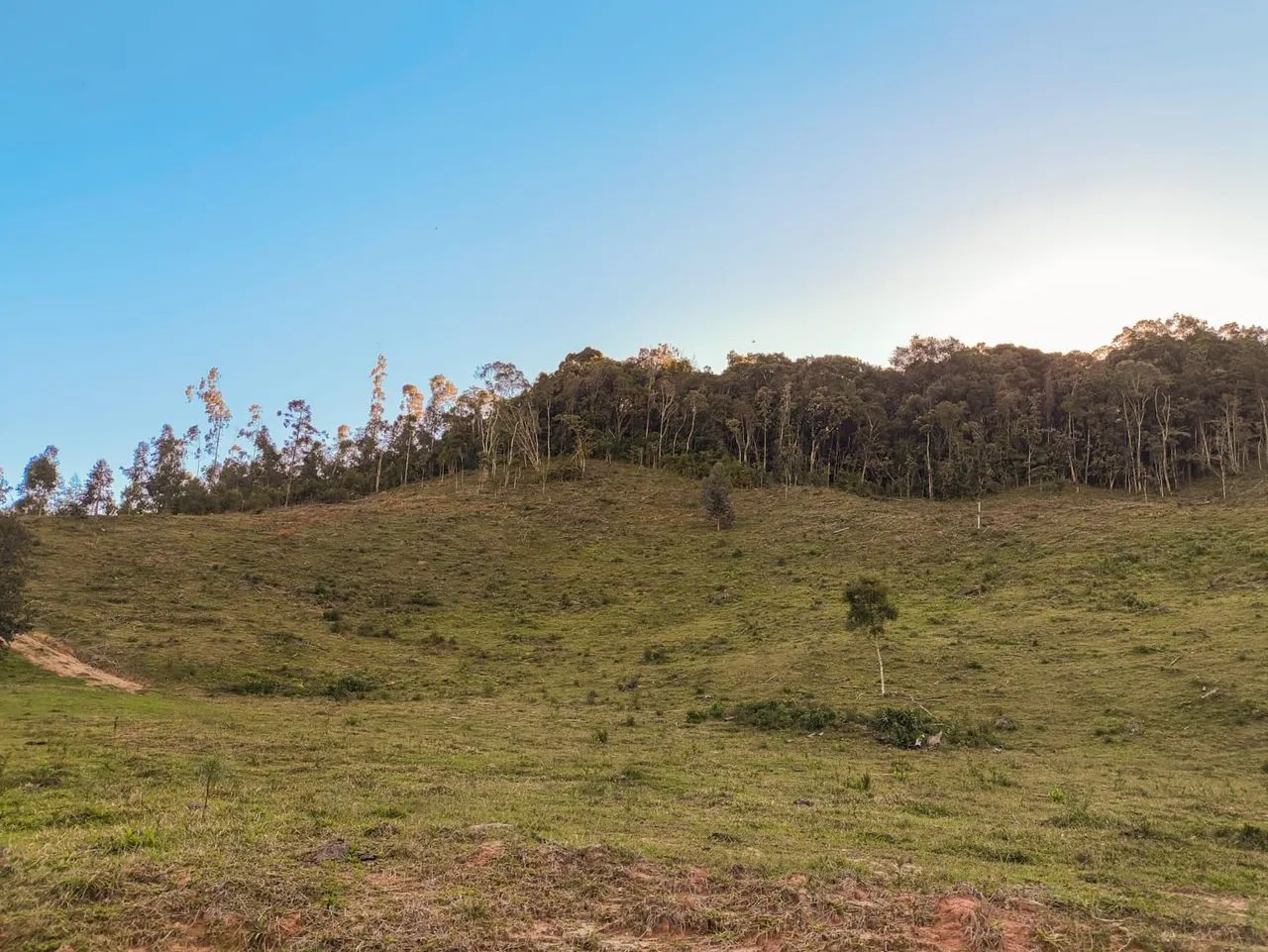 Terreno com açude em Anitápolis 20.000m² - Foto 3