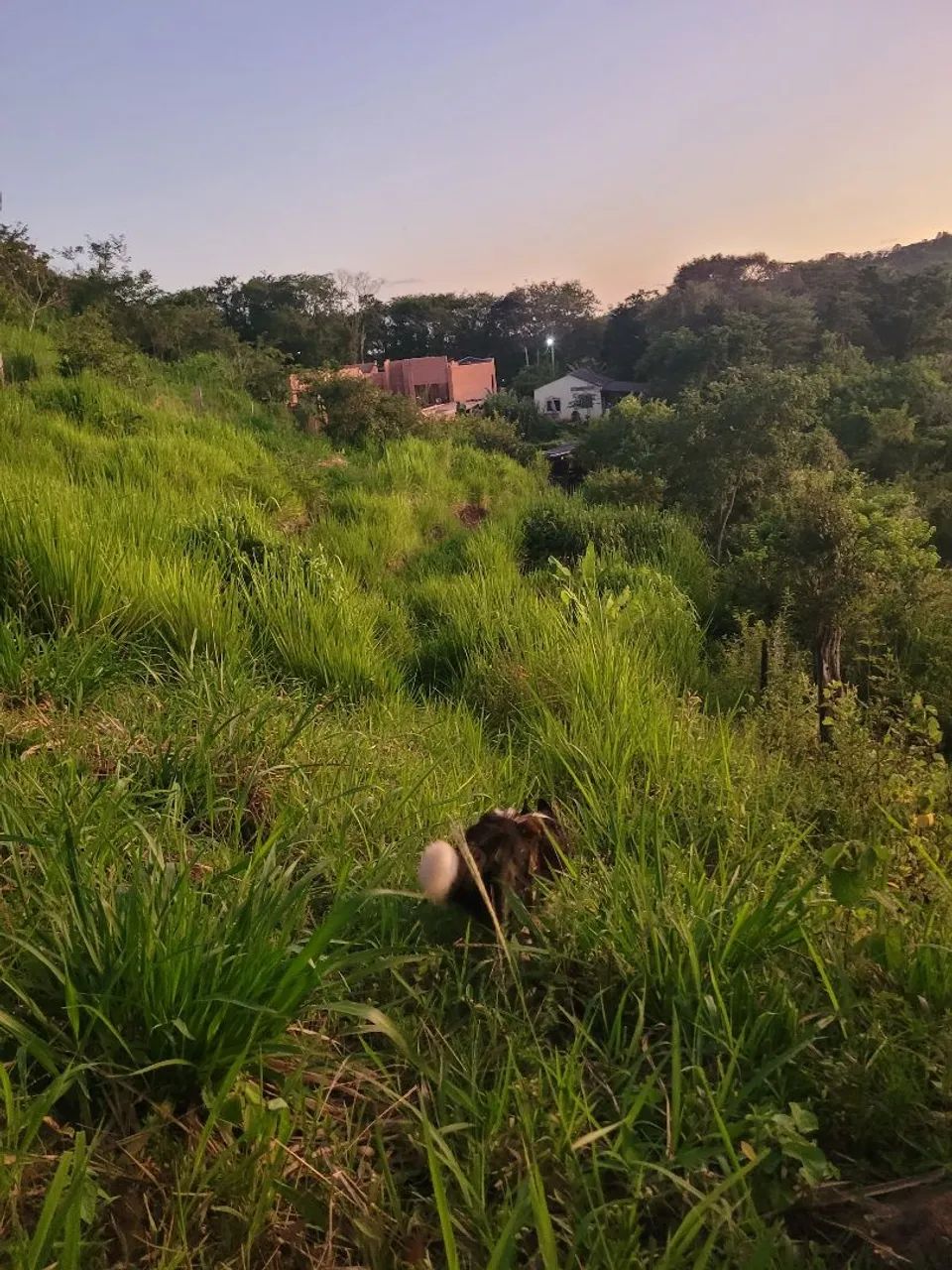 Chacara com Casa condomínio itauna - Foto 5