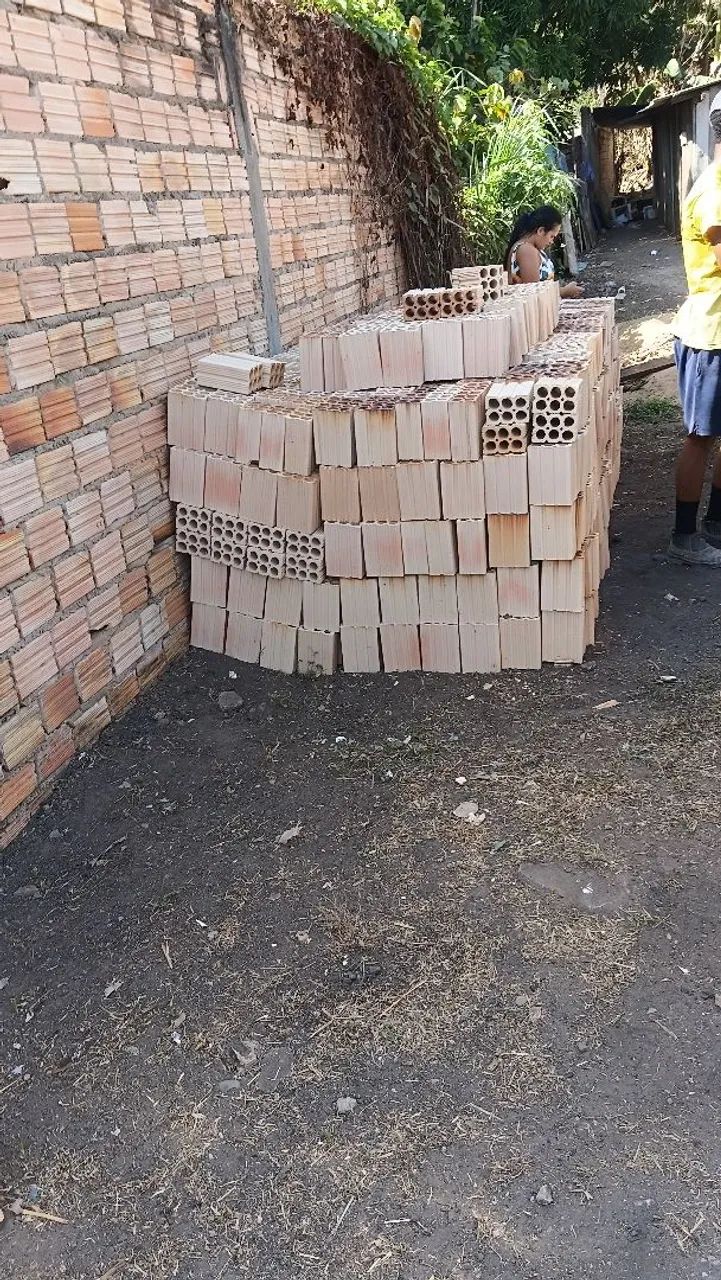 Vede tijolos 