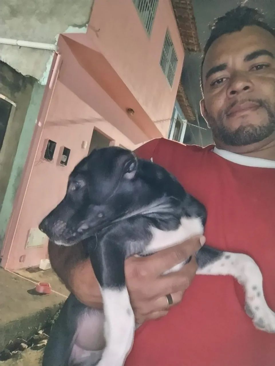 Cachorro  - Foto 4