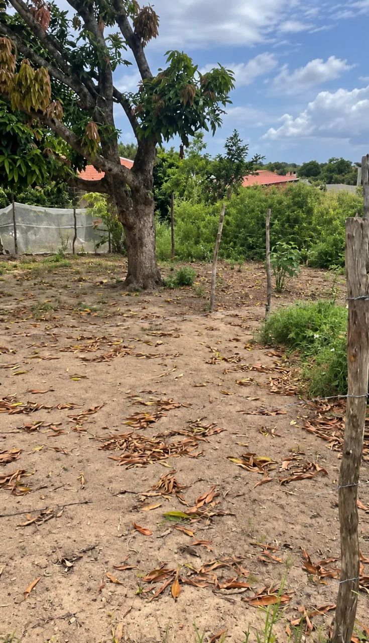 Terreno 229m² no Bela Vista, Santo Amaro - Foto 5