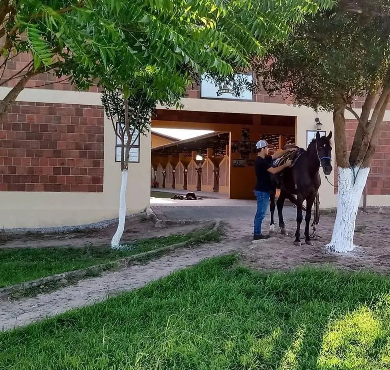 Lote/Terreno para venda com 965 metros quadrados em Zona Rural - Gurinhém - Paraíba - Foto 5
