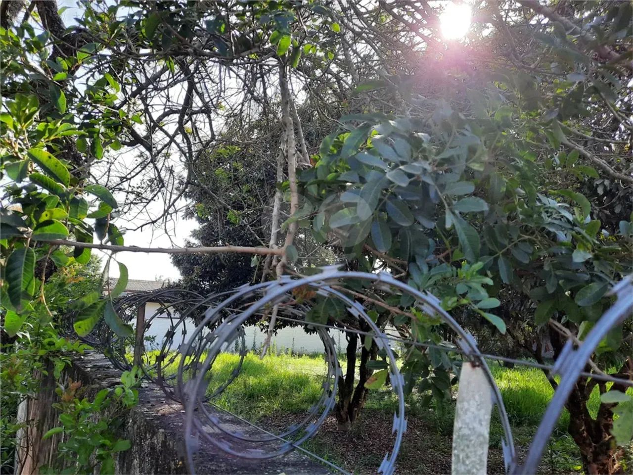 Terreno à venda em Interlagos - SP - Foto 4