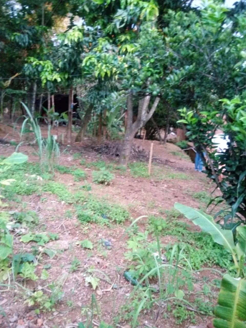 Chácara 1.700 m² - (Setor Sul - GAMA-DF)