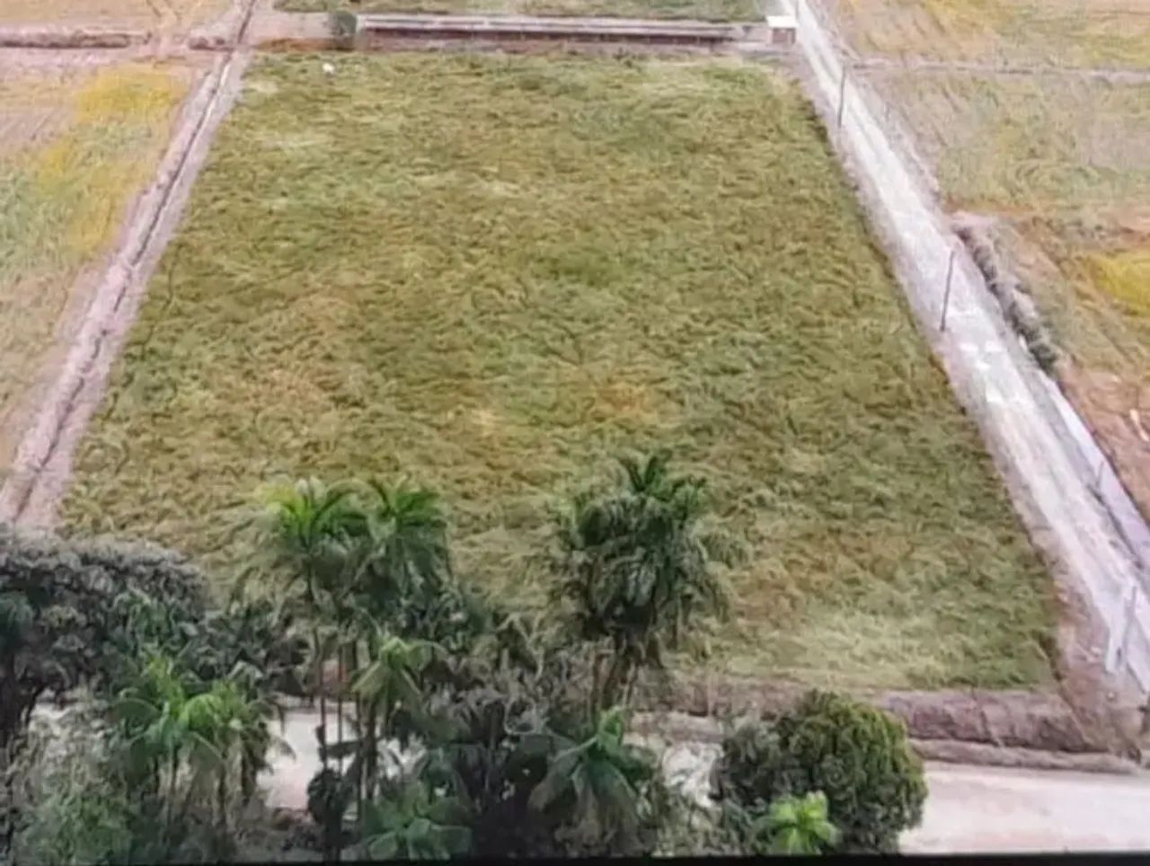 Terreno  - Foto 2
