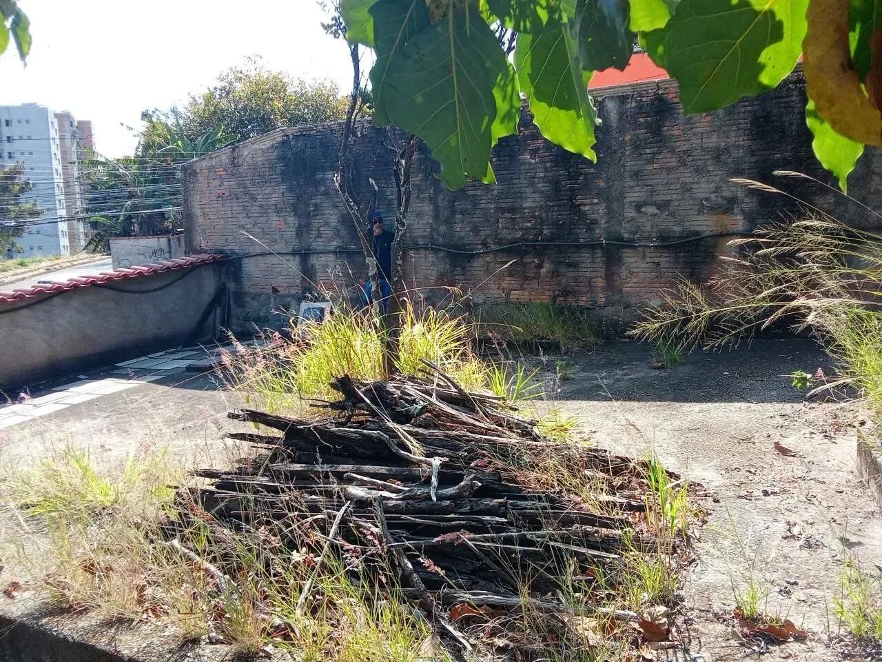 LOTE 360M² NO SANTA HELENA - Foto 6