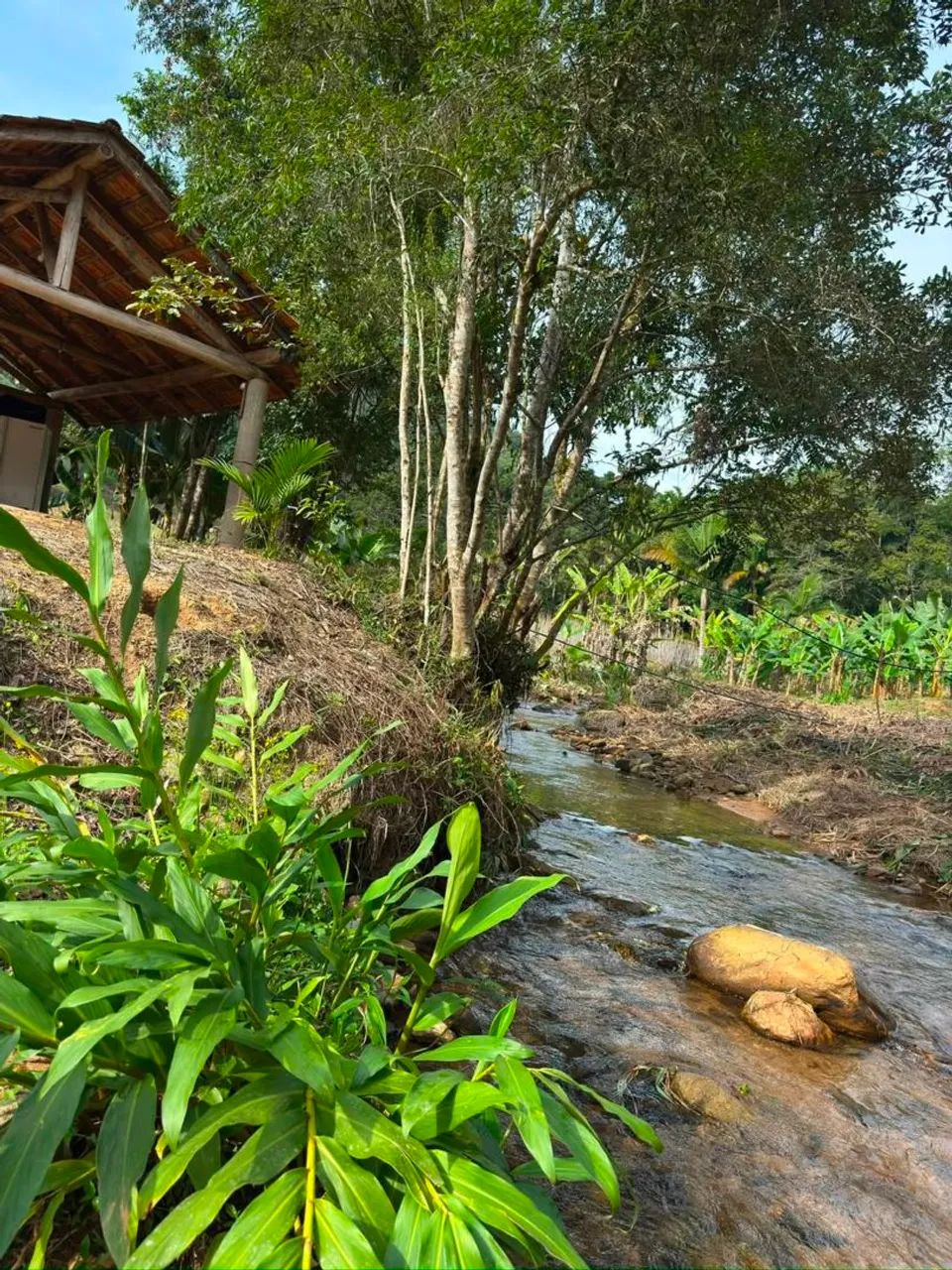 Sítio com cachoeira e casa  - Foto 2