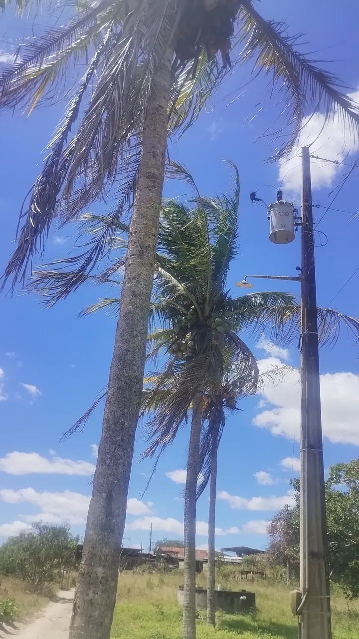 Sítio em Lagoa Seca a 1,2 km do asfalto  - Foto 4