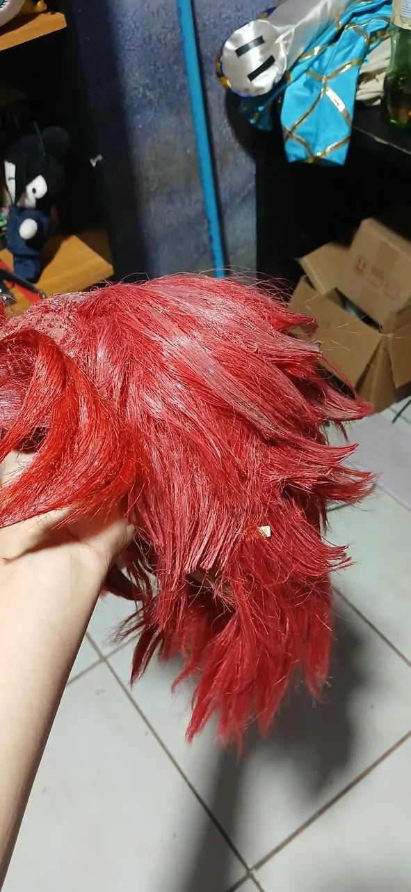 Cosplay Kakyoin - Jojo's Bizarre Adventure (roupa+peruca)) - Foto 4