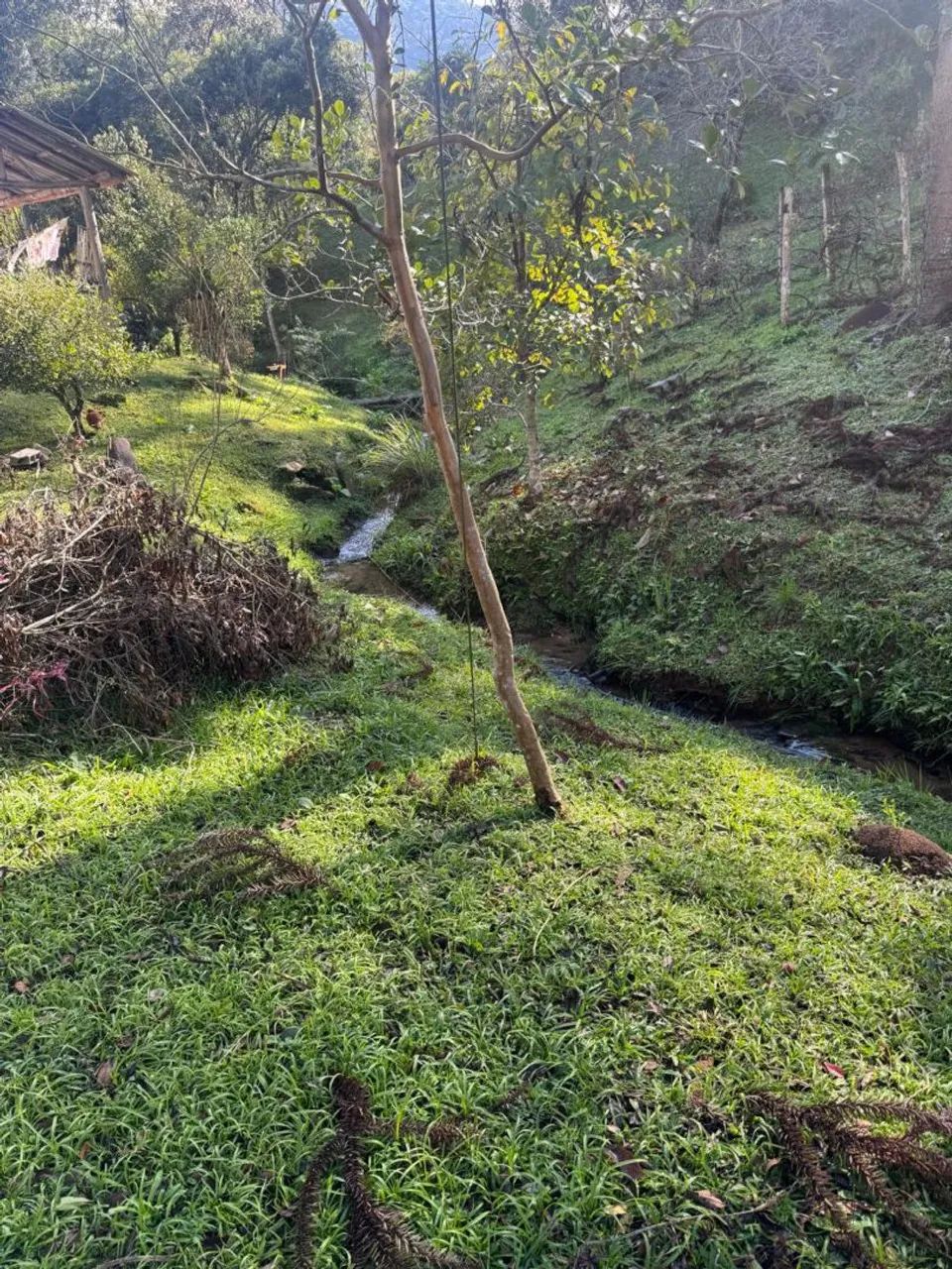 Chacara Bocaiuva do Sul 20 Mill m2.  - Foto 4