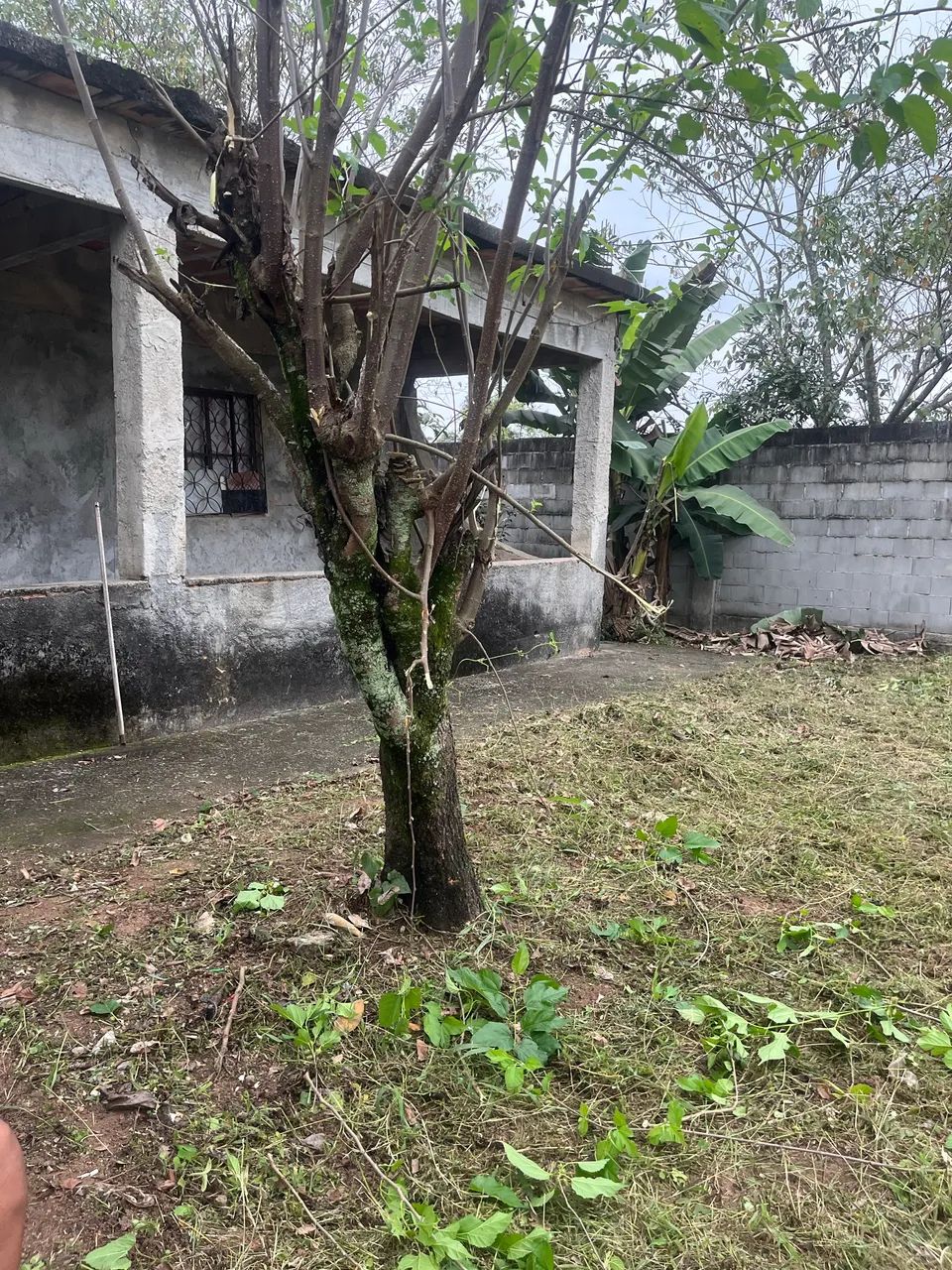 Vendo casa em Capivarí Caxias  - Foto 3