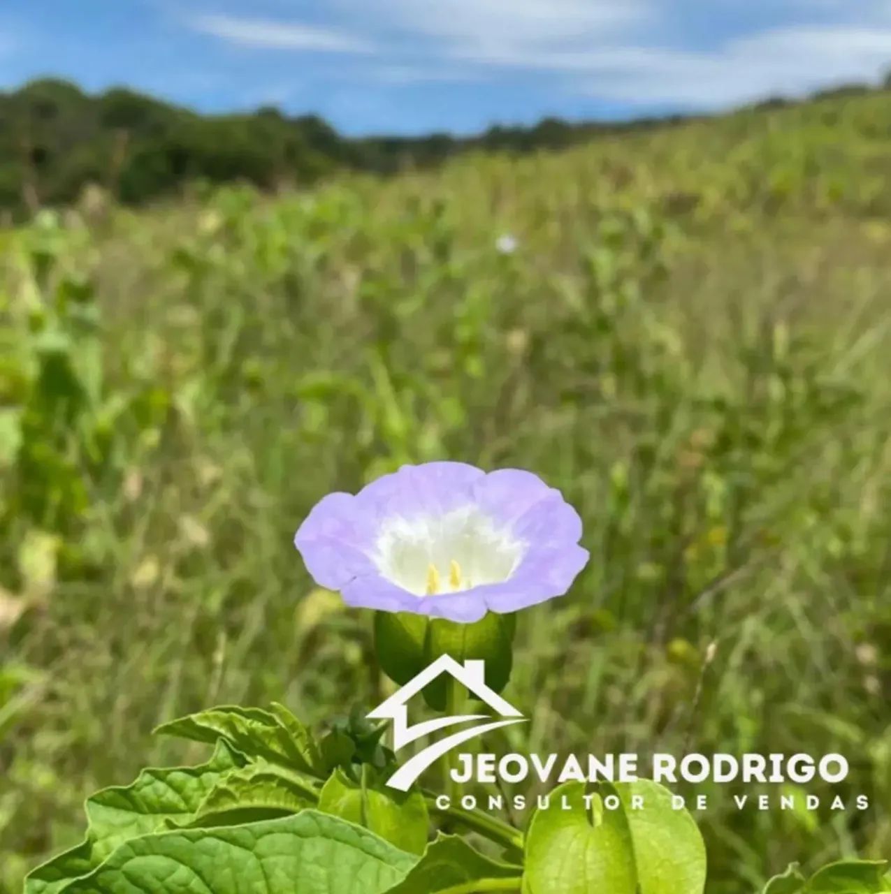 Terrenos promocionais no interior de São Paulo- SP - Foto 11