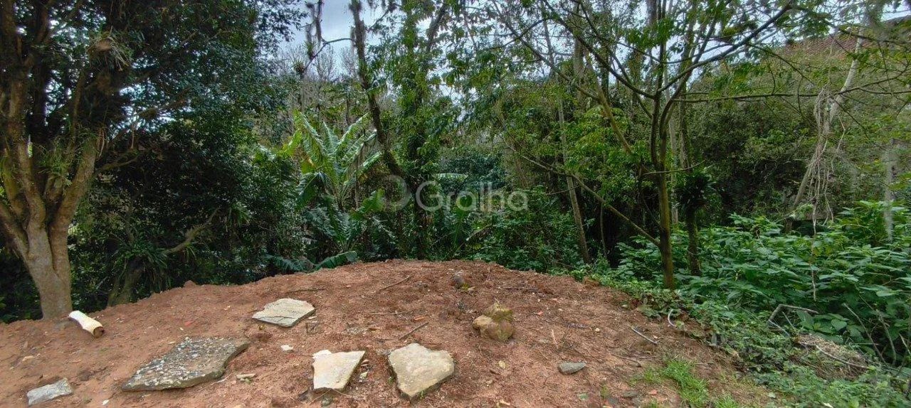 Terreno de 6.284m² no Pantanal - Foto 5
