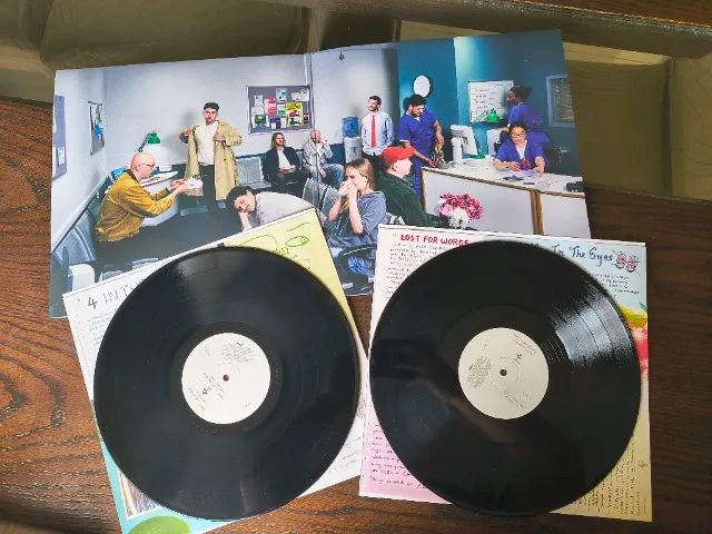 disco de vinil the alexander technique - rex orange county