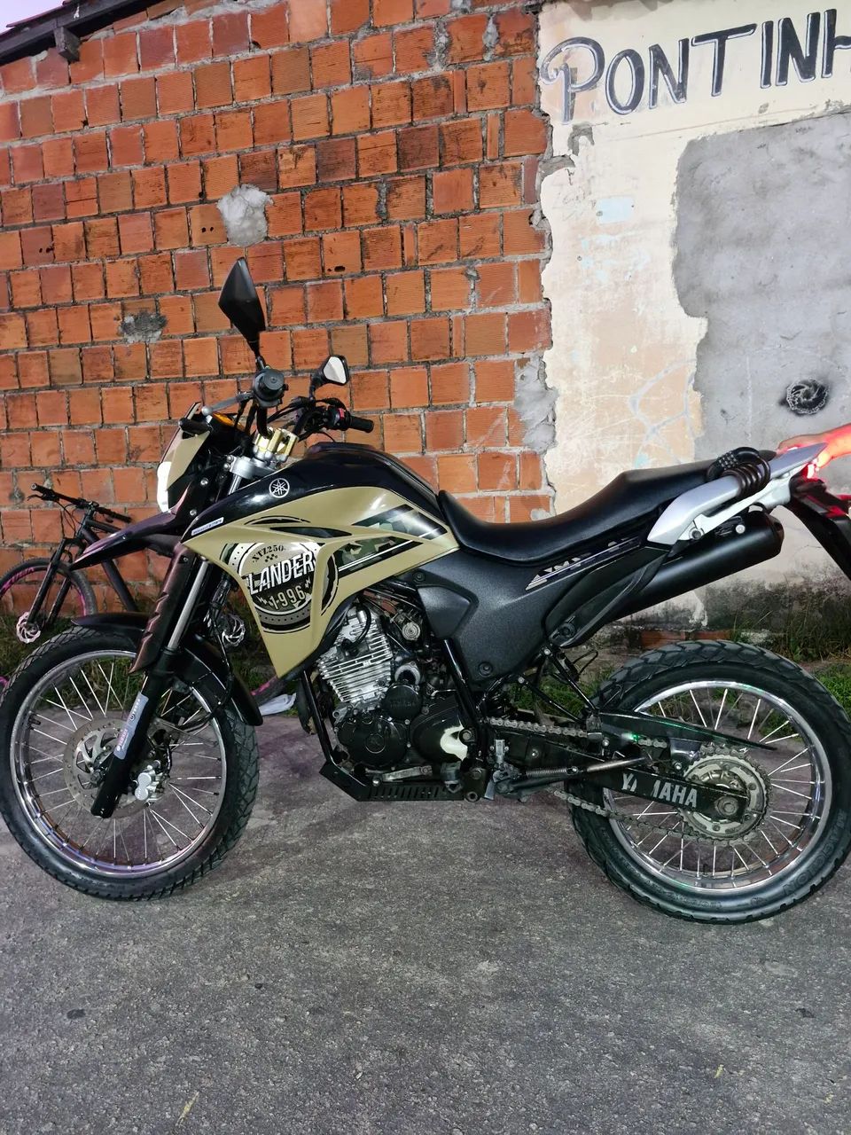 LANDER 250 2021 - Foto 2