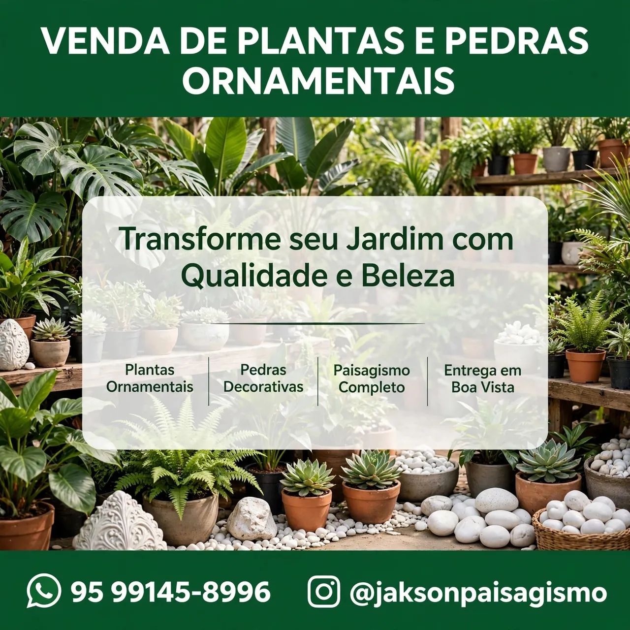 Plantas e Pedras para jardim 