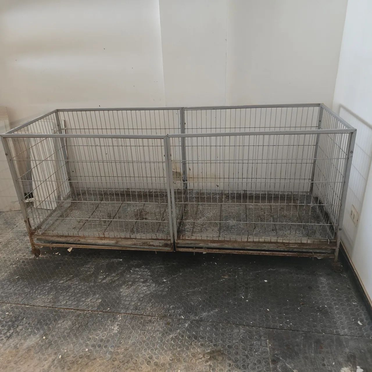 Corredeira para colocar filhotes