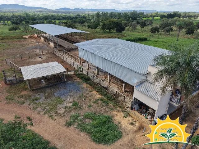 FAZENDINHA COM ESTRUTURA COMPLETA - Foto 3