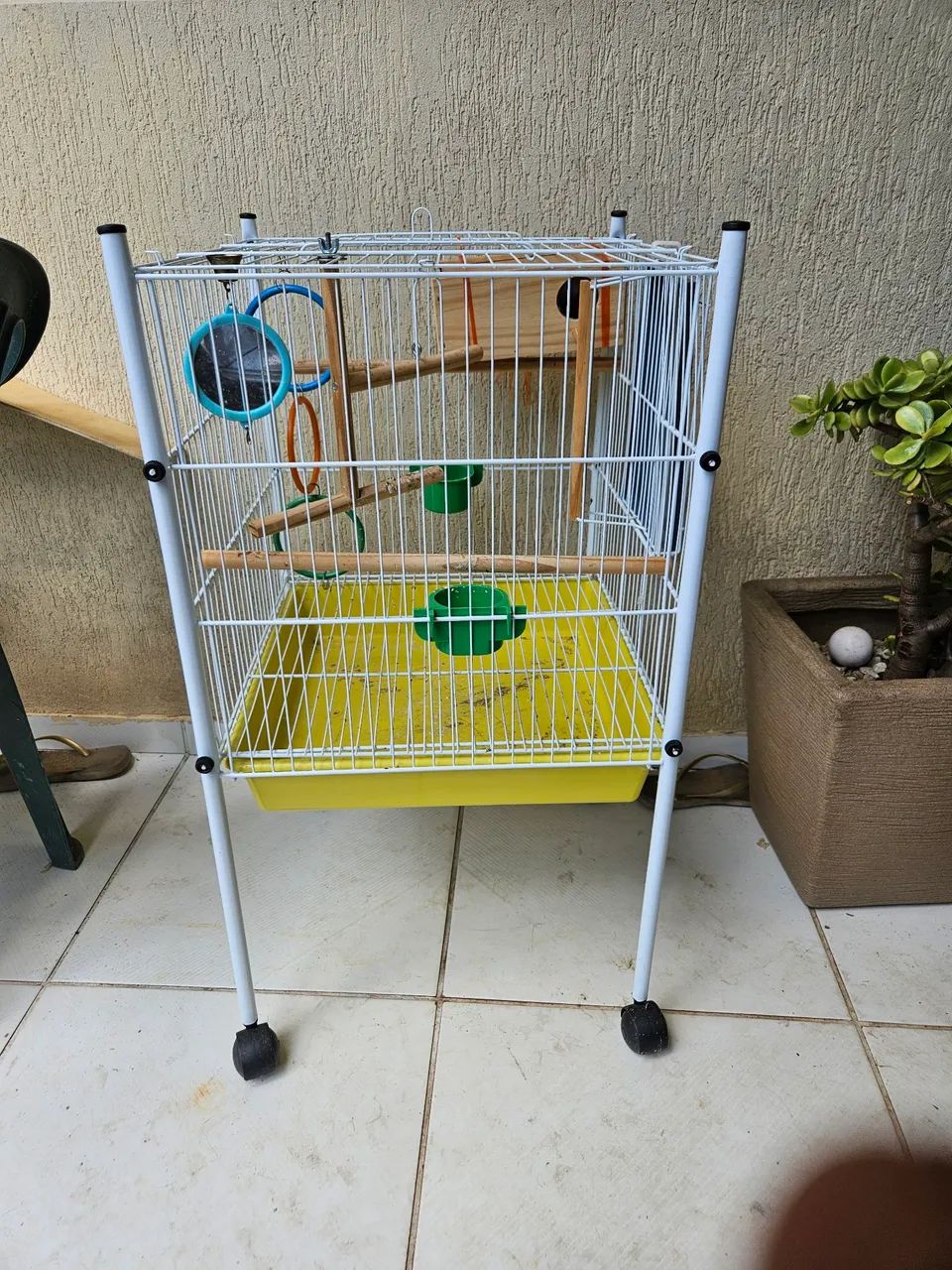 Assessórios para pets
