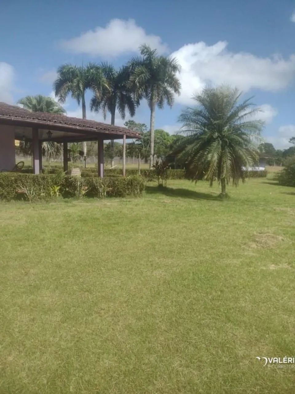 TERRENO EM BENEVIDES COM 15.000M² - Foto 3