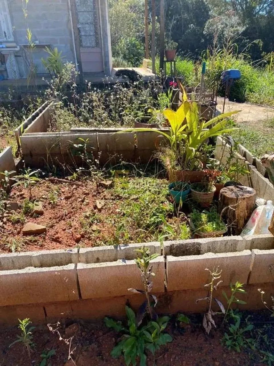 Terreno à venda no Rio Do Peixe em Cambuí/MG - Foto 10