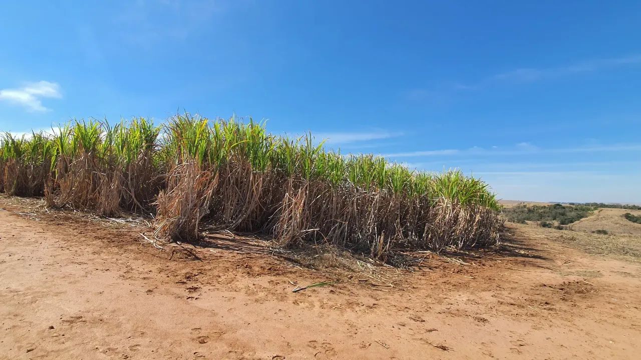 Sitio á venda Aguas de São Pedro SP - Foto 4
