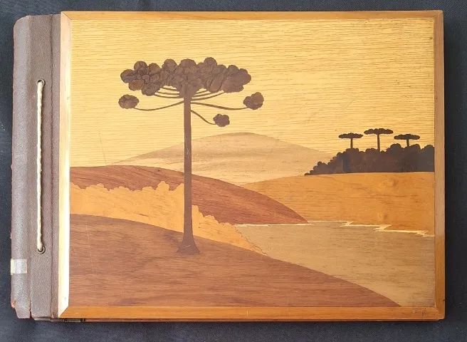 Álbum de fotografias (115 fotos) com capas em madeira e belo trabalho de marchetaria 