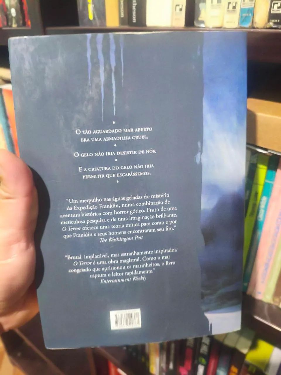 LIVRO O TERROR - DAN SIMMONS  - Foto 3