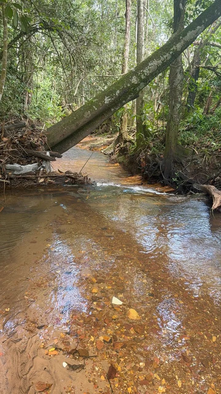 Foto - Brasília - Ponte Alta Norte (Gama)